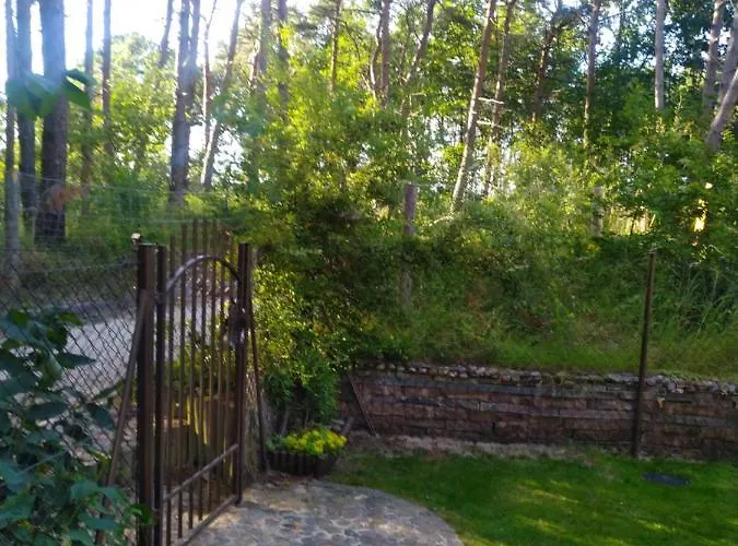 Przy Plazy دجيفنوفيك